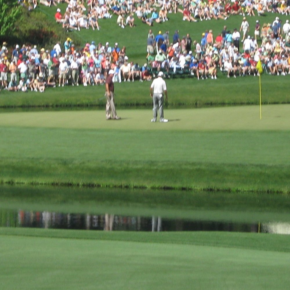 Masters Trip - Picture 10 of 14